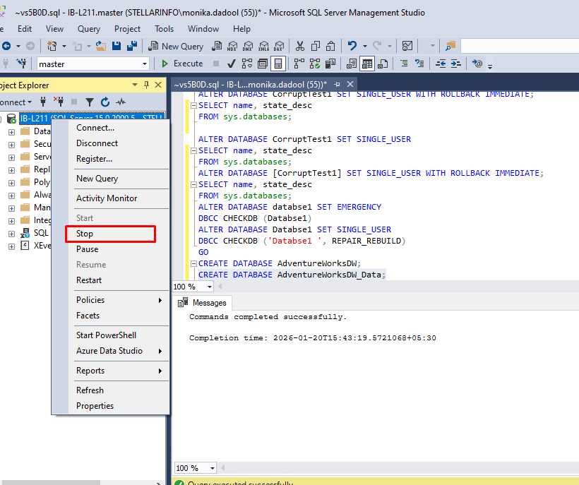 stop your SQL server instance